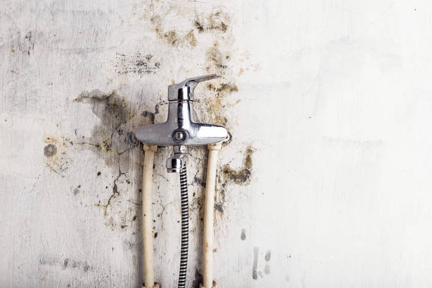 Mold Removal and Inspection in Boothwyn, PA